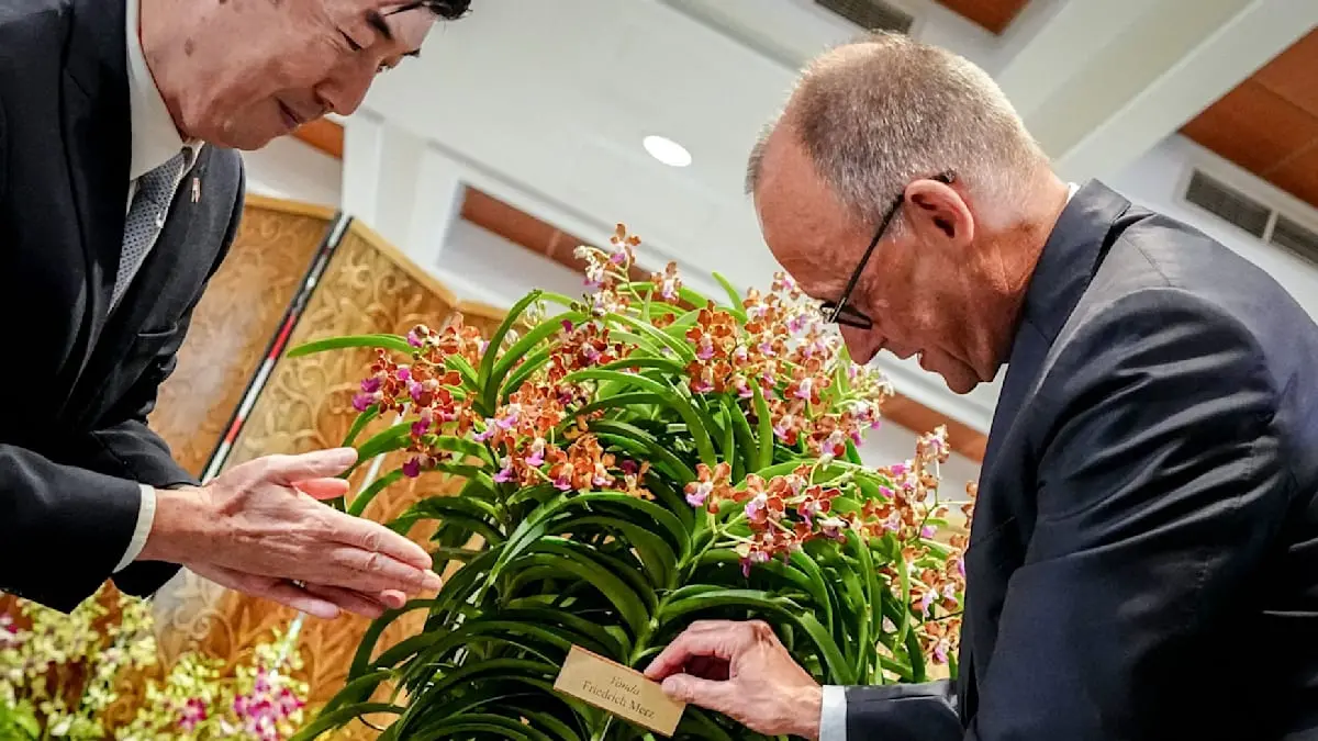 „Große Ehre“ für Friedrich Merz: Diese Orchidee trägt jetzt seinen Namen
